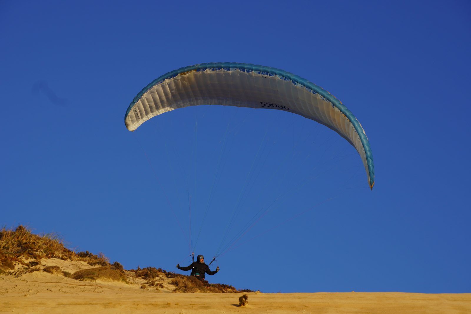 Gonflage d'une aile de parapente au sommet d'une dune dorée, lumière du soir